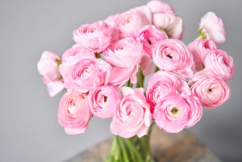 周年祝いに贈るお花の選び方は マナーやメッセージの書き方をご紹介 株式会社プレミアガーデン