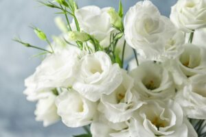 夏におすすめの切花の種類