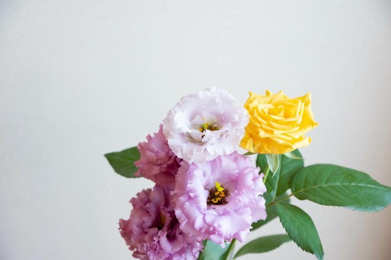 季節を感じる花のギフト