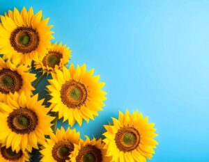 暑中見舞いのギフトに花や観葉植物を選ぶ魅力