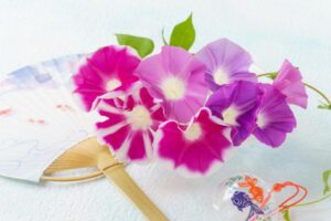 残暑見舞いに花を贈る意味とは