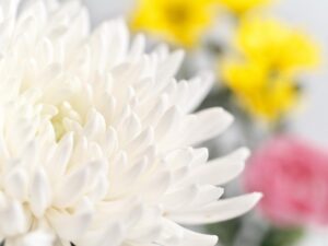 お盆 フラワーアレンジメント イメージ