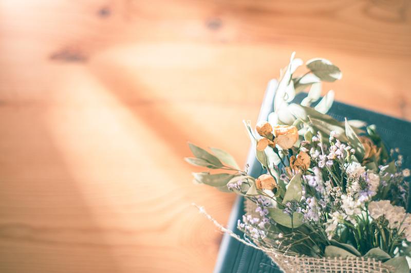 癒し系の花がプレゼントに選ばれる理由