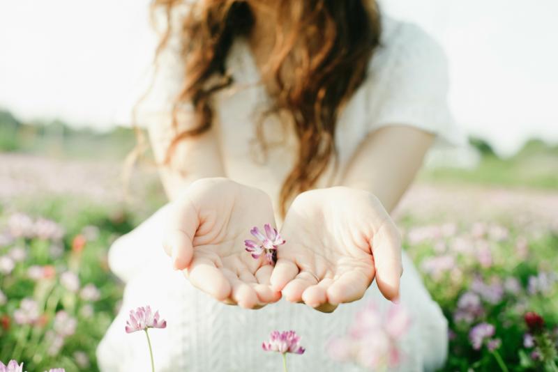 癒し系の花を贈るときの工夫