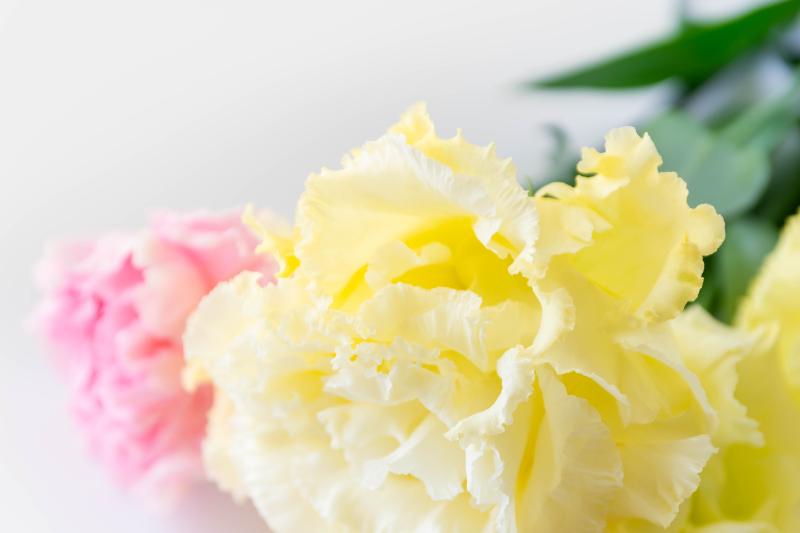 大輪の花をプレゼントする際のポイント