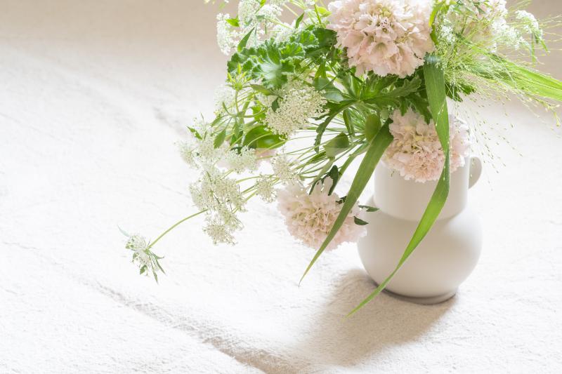 写真映えする花をプレゼントする際のコツ