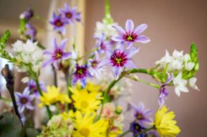 春 模様替え 花 イメージ