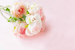 気持ち 落ち着く 花 イメージ