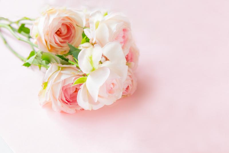 気持ち 落ち着く 花 イメージ